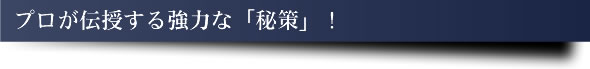 v`鋭͂ȁuvI